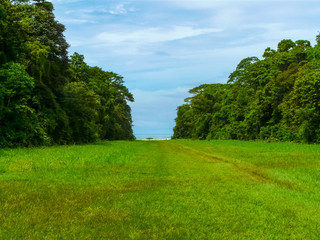 Fototapeta na wymiar Corcovado National Park, Osa Peninsula, Costa Rica