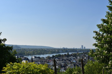 Rhein bei Königswinter