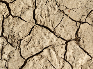 Dry cracked land. Top view.