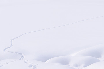  Distesa di neve bianca con traccia di un piccolo torrente che scorre tra alti argini di neve fresca in alta montagna