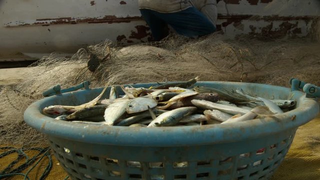 A basket with the catch of Indian fishermen on the seashore by the boat. Goa.