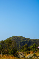 Obraz premium landscape with trees