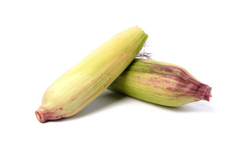 Siam Ruby Queen or Red corn of sweet corn. Red corn's kernels are stained with hues of ruby, The taste is sweet and crisp. Can be eaten fresh.