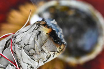 A close up image of a hand holding a burning white sage smudge stick. 