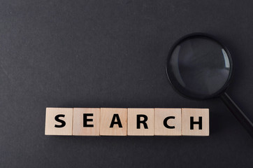SEARCH text on wooden cubes.