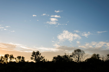Fototapeta na wymiar Sunset landscape, silhouettes of trees against the illuminated sky, in Uruguay