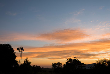 Sunset landscape, silhouettes of trees and a windmill against the bright sky