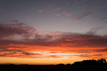 Fototapeta premium Sunset landscape, silhouettes of trees against an orange intense bright sky