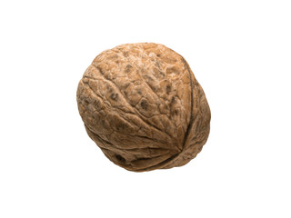 Closed ripe walnut isolated object