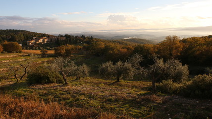 Fototapeta na wymiar Rolling hills of Tuscany