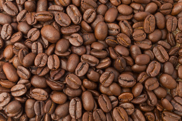 Raw coffee beans background.