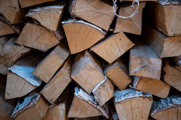 Harvested birch firewood is stacked in a neat woodpile
