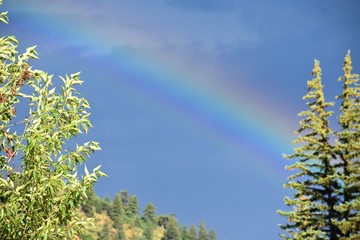 Rainbow