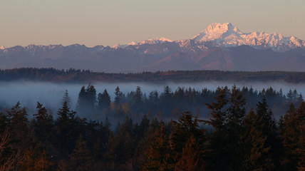 Morning light and mist on the Olympics