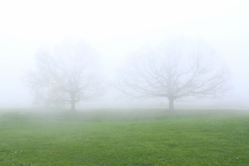 Shenandoah in the Fog