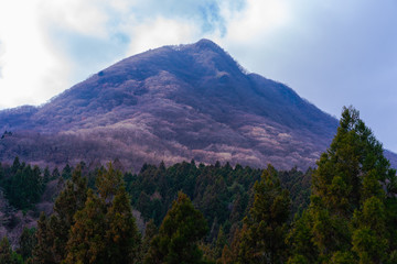 伊香保の山