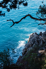 Naklejka premium Fantastic turquoise sea water and and rocky coast, Montenegro