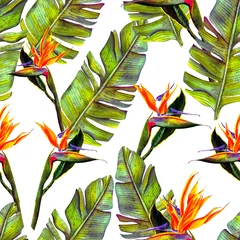 Behang grappig naadloos behang behang van tropische groene palmbladeren en strelitzia bloemen op een witte achtergrond. © Elena