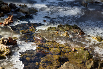 Fototapeta na wymiar Melting ice on the surface of the stream 