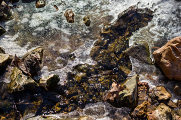 Melting ice on the surface of the stream
