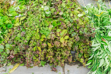 Middle Year Festival, at store, street and market in Hoi An old town, Vietnam. Hoi An is a famous tourist destination in the world and Vietnam