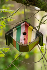 wooden bird house