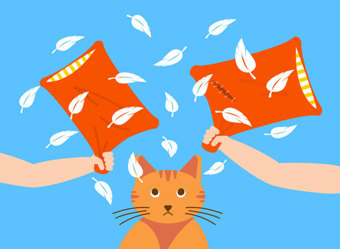 Pillow Fighting, Loving Femaly Enjoying. Indignant cat. Stock vector illustration in flat style.