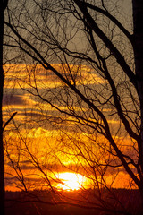 Beautiful red-fiery sunset behind tree branches
