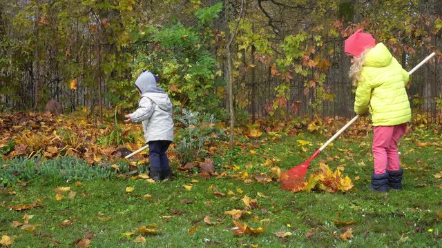 Two little helpers children raking leaves in garden. Gimbal motion