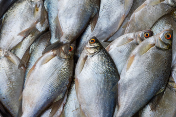 Fresh fish from the sea for sale on villager market