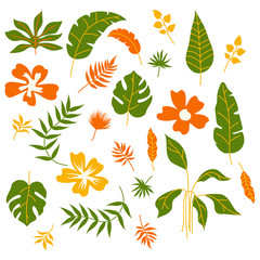 Tropical Leaves and Plants Isolated on White Background Vector Set