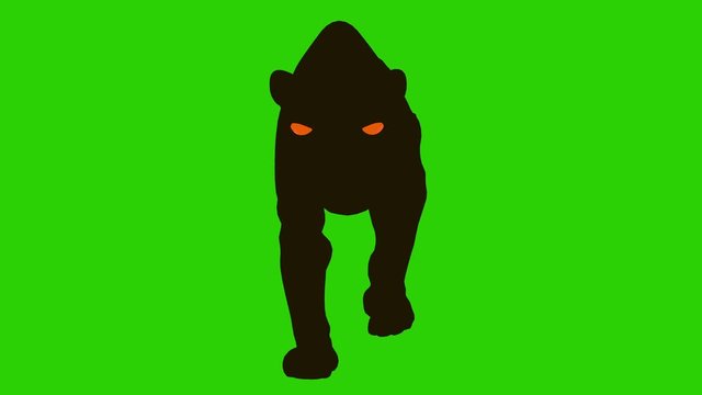 The panther walking animation with 360 degrees view over a green background added alpha channel., 4K video