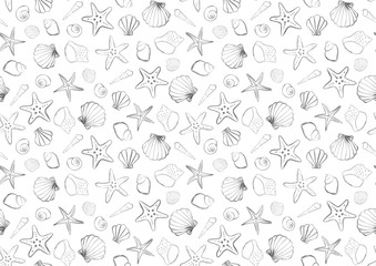 Background illustration of shellfish and starfish painted in watercolor