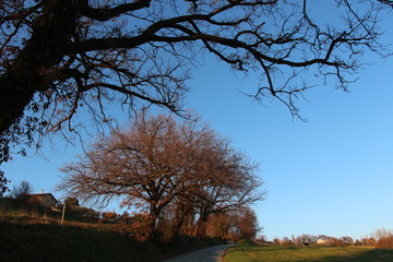 German village countryside