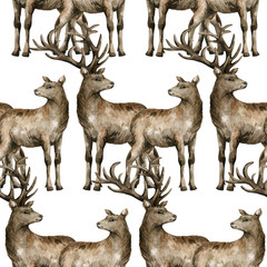 Watercolor seamless pattern with deer. Background with wild woodland animal for textile, wrapping, covers, decoration.