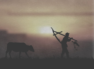 A Chinese Farmer Herding Cows Under The Sunset