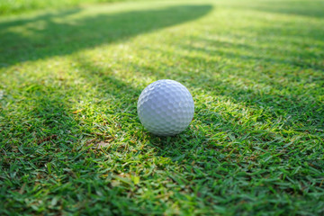 Golf ball on green grass sunset background