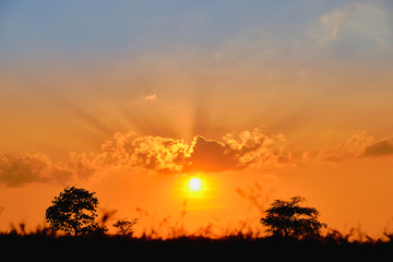 Fototapeta premium Sunset, sunrise sky morning bright, beautiful summer