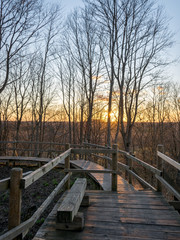 Fototapeta na wymiar landscape with large trees, pedestrian wooden footbridges and view from above, beautiful sunset colors in spring