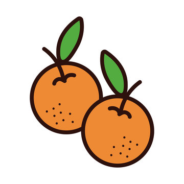 orange fruits line and fill style