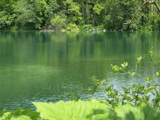 Small lake  in the green summer forest with turquoise water