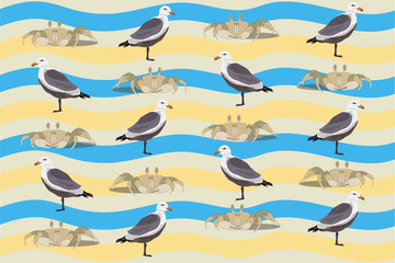 crab in seagull on the beach summer texture