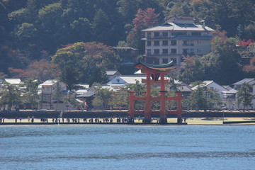 Looking at Miyajima island from the ferry. Floating red giant Grand O-Torii gate stands in bay beach at low tide on sunny day, Hiroshima City, Hiroshima Prefecture, Japan. 厳島神社