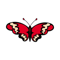 beautiful butterfly insect red flat style icon