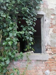 Fototapeta na wymiar finestra casa abbandonata
