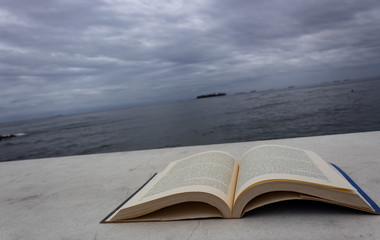libro frente al mar 