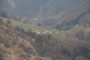 Mountain landscape. A house on a green field with bare trees on slopes.