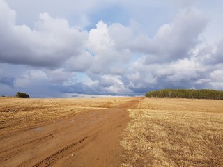 Fototapeta na wymiar Dirt country road after rain