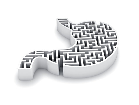 Stomach in shape of 3d maze or labyrinth. Concept of Stomach. 3D Rendering,