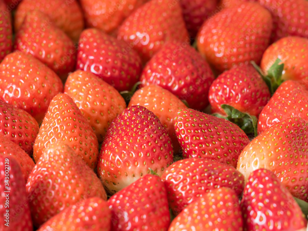 Wall mural Group of red strawberries